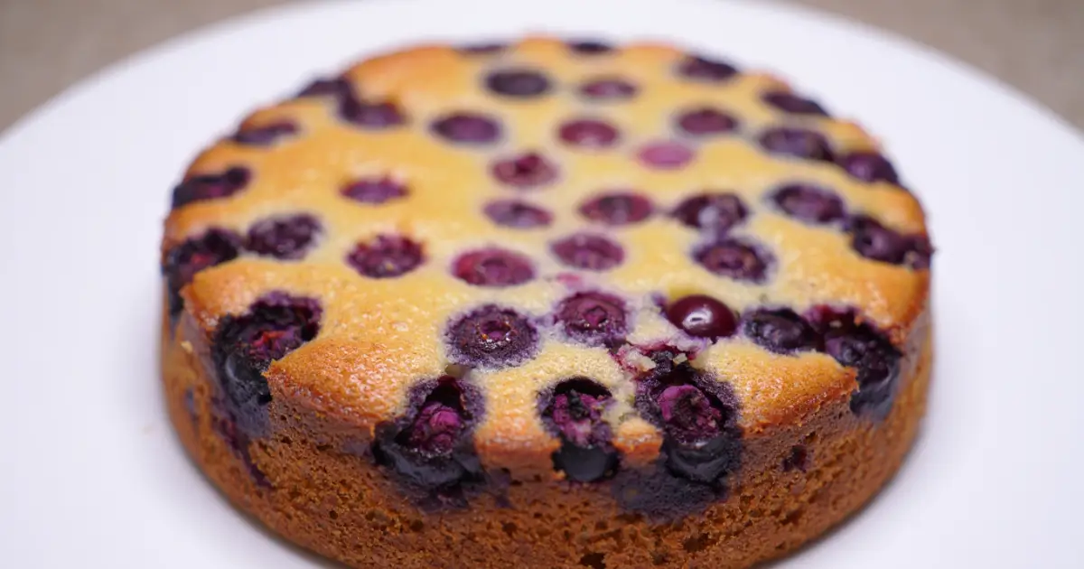 Cottage Cheese Blueberry Breakfast Cake Recipe