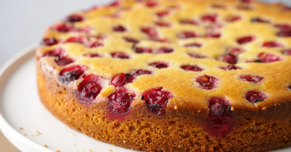 Crustless Cranberry Pie Recipe